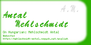 antal mehlschmidt business card